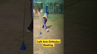 Left Arm Orthodox Bowling Action Shorts Cricket Batballbuzz [upl. by Dareen]