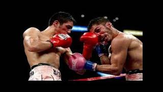 ANTONIO DEMARCO VS JORGE LINARES  FULL FIGHT HIGHLIGHTS TKO [upl. by Nayr]