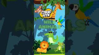 Learning Wild Animals for Kids 🦁🦒🐒🦜  Fun amp Educational 2D Animation [upl. by Olsson]