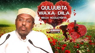 QULUUBTA WAXA DILA amp WAXA NOOLEEYA ᴴᴰ┇Sh Mustafe Xaaji Ismaaciil [upl. by Tedie]