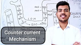 Excretory products and their Elimination Class 11 Biology  Counter current mechanism  Neet 2025 [upl. by Leonie]