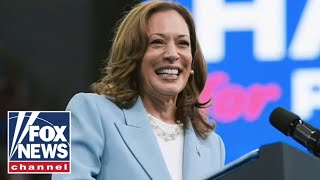 Did Kamala do ‘irreparable’ harm to the Dem Party [upl. by Gnilyam731]