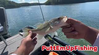 Bass Fishing Philpott Lake Virginia pt 2 [upl. by Meade913]