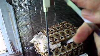 Setting up a knitting machine for absolute beginners [upl. by Nylra]