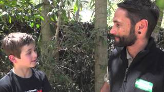 Currumbin Wildlife Sanctuary Interview with Michael Vella [upl. by Meredeth957]