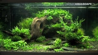 Aquascaping  The Art of the Planted Aquarium 2013 XL pt2 [upl. by Edyth715]