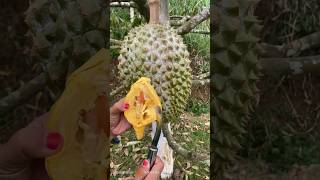 Tahukah kalian kenapa buah ini di nama kan durian  shorts [upl. by Aivilys]