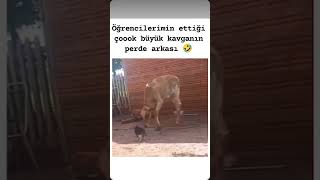 Olayları abartan arkadaşına gönder 😅 [upl. by Parrish]