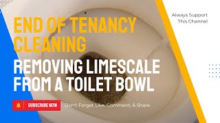 How to Easily Remove Limescale from Under the Water Line in Your Toilet Bowl [upl. by Aicnorev]