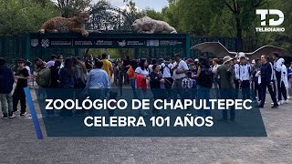 Zoológico de Chapultepec celebra 101 años convertido en un centro de conservación de especies [upl. by Modern549]