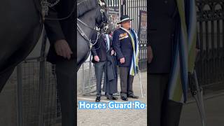 Kings guard horses OMG shorts foryou history horseguard royalhorseguard royalguards [upl. by Amjan]