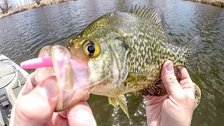 Ice Out Fishing For Spring Crappies [upl. by Suoivatra317]