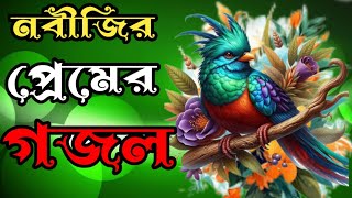 সেরা কন্ঠে অসাধারণ উর্দু নাতে রাসুল। শিল্পী – মোজাহিদুল ইসলাম। [upl. by Labana]