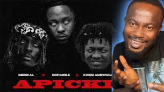 Medikal ft Mole and Kwesi Amewuga  Apicki reached [upl. by Alakim]