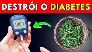 ESTA ERVA DELICIOSA PODE COMBATER O DIABETES [upl. by Uzia]