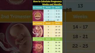 How to Calculate Pregnancy by weeks Months and Trimester 💯shorts pregnancy cutebaby [upl. by Eenor33]