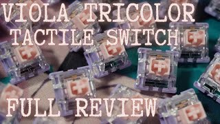 Satisfying Tactiles Viola Tricolor Switch Full Review on Vega 65 Keyboard TypingASMR [upl. by Bax]