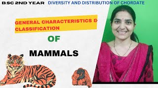 General Characteristics And Classifications of class Mammalia BSc 2nd Yearmammalia [upl. by Lemra]