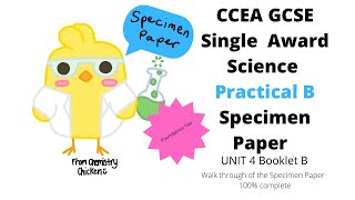 CCEA GCSE Single Award Science Unit 4 Booklet B Specimen Paper FOUNDATION TIER [upl. by Nedmac]