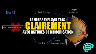 🔴 Le Nerf 3 Et Sa Paralysie Expliqués Très Clairement par Dr Astuce [upl. by Etselec]