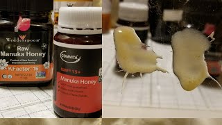 Manuka Honey Compared UMF15 VS Kfactor16 [upl. by Aerdnahc]