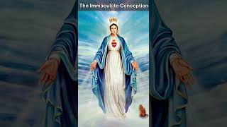 Prayer to The Immaculate Conception 🌹✨  Seeking Purity and Grace [upl. by Zubkoff]