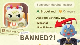 Never Do This This Will BAN Marshal From His Birthday Forever in ACNH [upl. by Rawna]