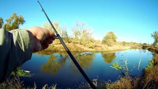 Fishing on the river with a spinning rod  The fastest loss of a spoon does it happen to you too [upl. by Wilmette52]