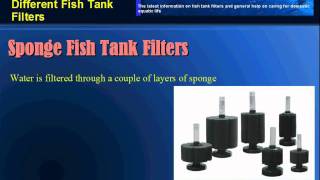 Advantages And Disadvantages Of Different Fish Tank Filters [upl. by Hait48]