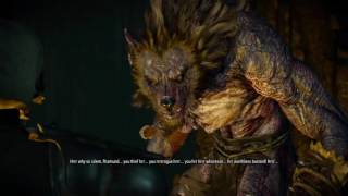 In Wolfs Clothing side quest Lift the Curse no killing The Witcher 3 [upl. by Aneekas664]