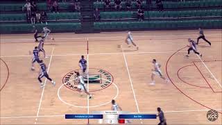 Pavle Stepanovic Basketball Highlights  20232024 [upl. by Venu]