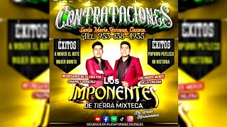 ⭐  La Movidita  Los Imponentes de Tierra Mixteca Audio en vivo [upl. by Amat314]