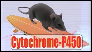 CytochromeP450 Interactions Mnemonic [upl. by Ause]