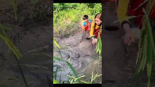 deep hole fish trap 😲bushcraft camping viralshort shorts [upl. by Kenaz]