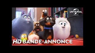 Comme Des Bêtes  Bandeannonce officielle 3 VOST Au cinéma le 27 juillet [upl. by Weinman]