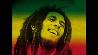 Bob Marley  Three Little Birds【1 HOUR】 [upl. by Ryon]