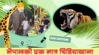 Central Zoo  Only zoo of Nepal  Lalitpur Kathmandu [upl. by Dietsche537]