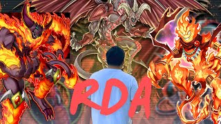 RED DRAGON ARCHFIEND  YuGiOh TCG Deck Profile  2024 [upl. by Ynoep]