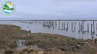 DuPont Nature Center Mispillion Harbor [upl. by Aicirtak]