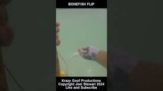 BONEFISH FLIP youtubeshorts [upl. by Acirre]