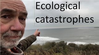 Ecological catastrophes [upl. by Koziara]