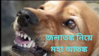 রেবিস হাইড্রোফোবিয়া এবং জলাতঙ্ক  rabies hydrophobia  Banikzone [upl. by Yesoj905]