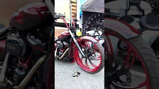 Softail Custom harleydavidson softail custom shorts bike motorcycle harley bikelife [upl. by Atiras836]