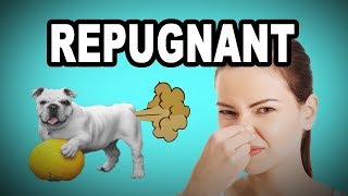 💩 Learn English Words  REPUGNANT  Meaning Vocabulary with Pictures and Examples [upl. by Htur]