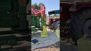 Gwar ki threshing farming viralvideos guruveervlogs [upl. by Ahsratan]