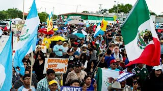 ILLEGAL IMMIGRANTS PROTESTING IN CALIFORNIA NEW YORK amp FLORIDA DONALD TRUMP MASS DEPORTATION [upl. by Delmor348]