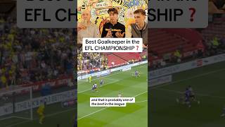 Best Goalkeeper in the EFL Championship watford watfordfc eflchampionship championship efl [upl. by Rooker783]