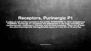 Medical vocabulary What does Receptors Purinergic P1 mean [upl. by Tran]