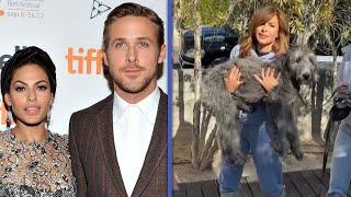 Ryan Gosling and Eva Mendes Add NEW Family Member [upl. by Maillliw848]