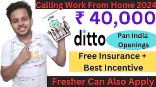 Earn Work From Home ₹40000 Every Month  Ditto Work From Home Jobs 2024  Online Jobs Insurance [upl. by Adnim]